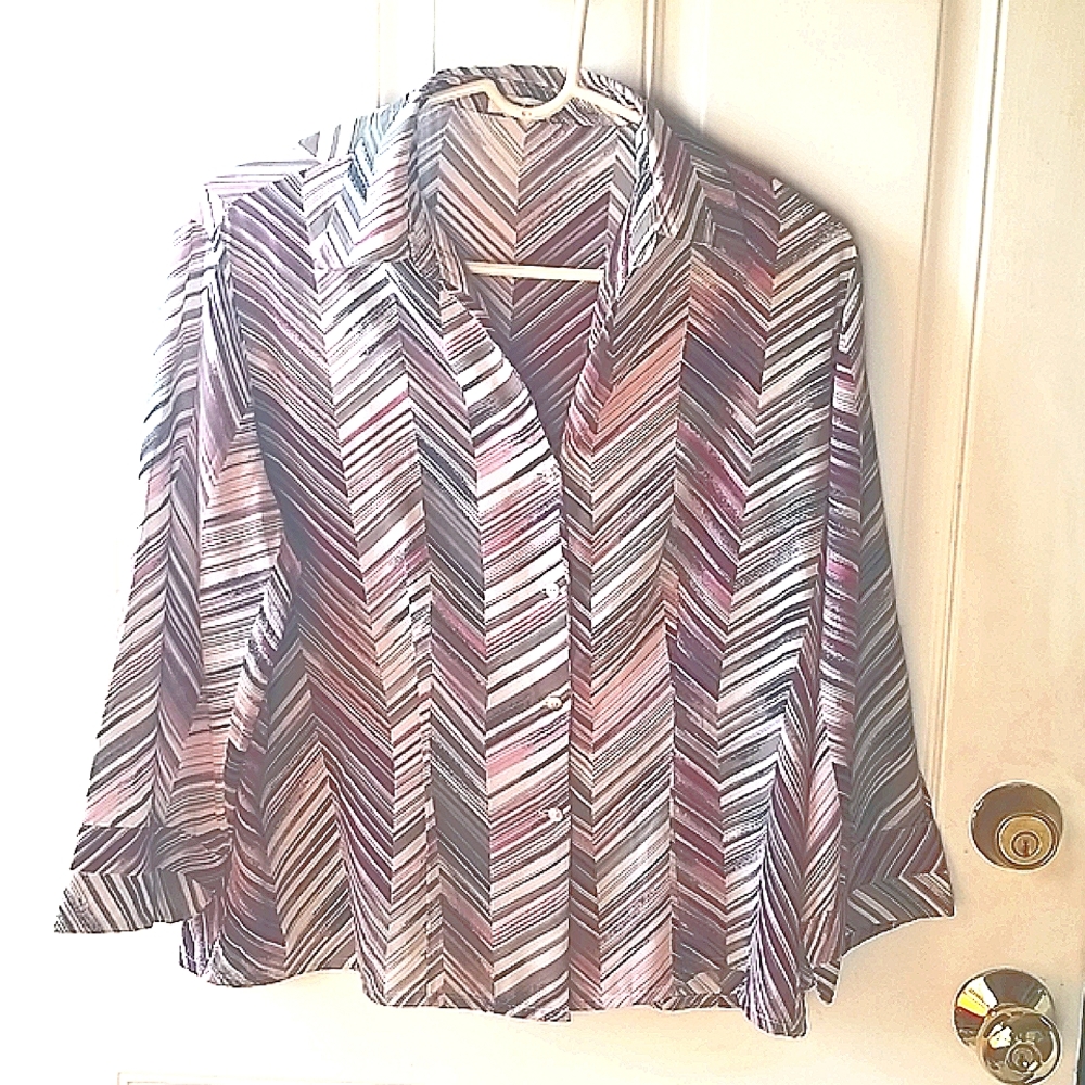 Jaipur Women's Multicolor Stripe Button Down Blouse